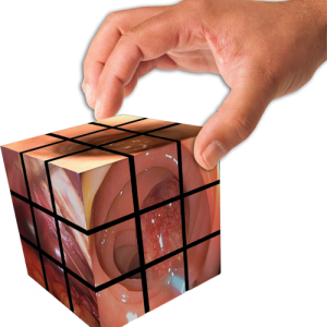Page-1_qube-300x300